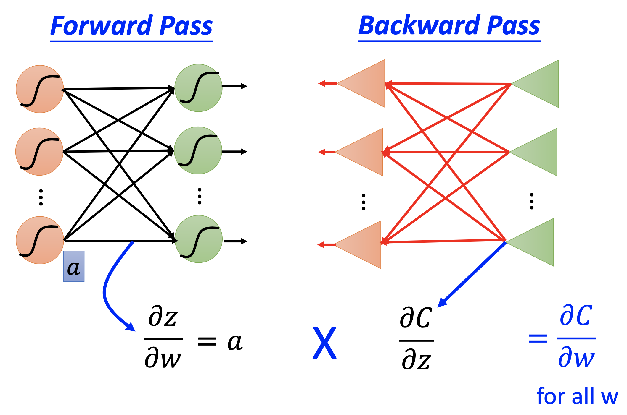 pass forward and backward