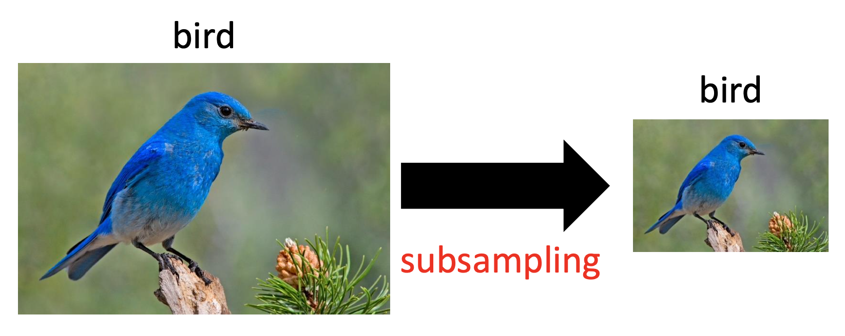 subsampling