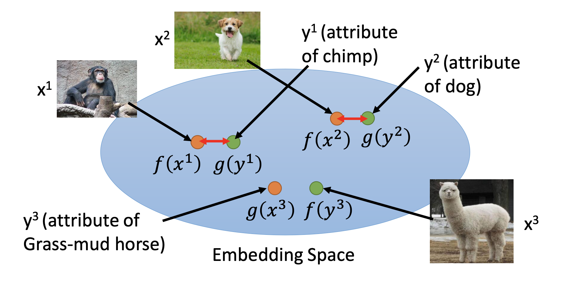 attribute-embedding